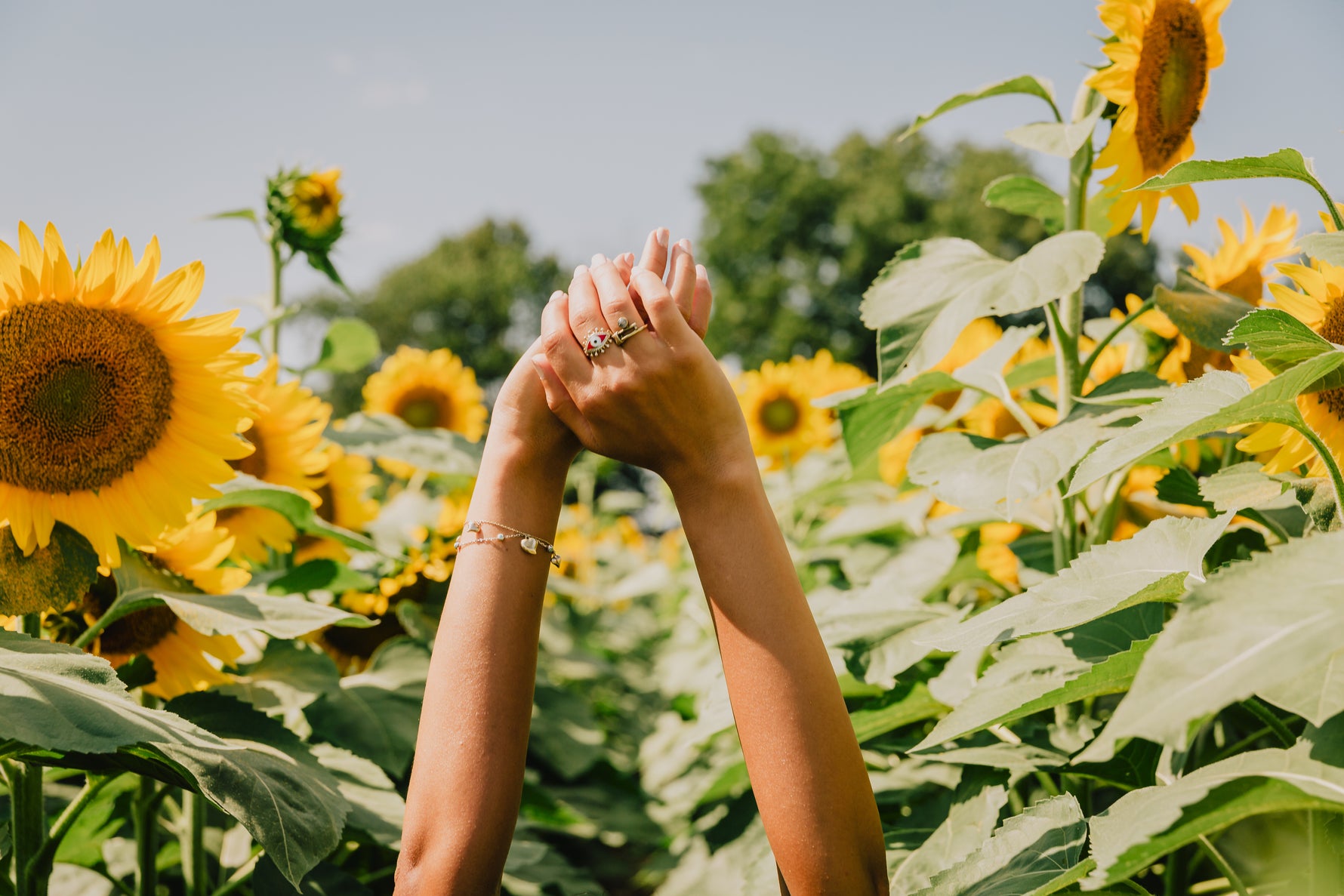 Art of Vedas Wellness and Natural Living - Hands Reaching High in a Sunflower Field Symbolizing Natural Ayurvedic Health and Joyful Wellbeing